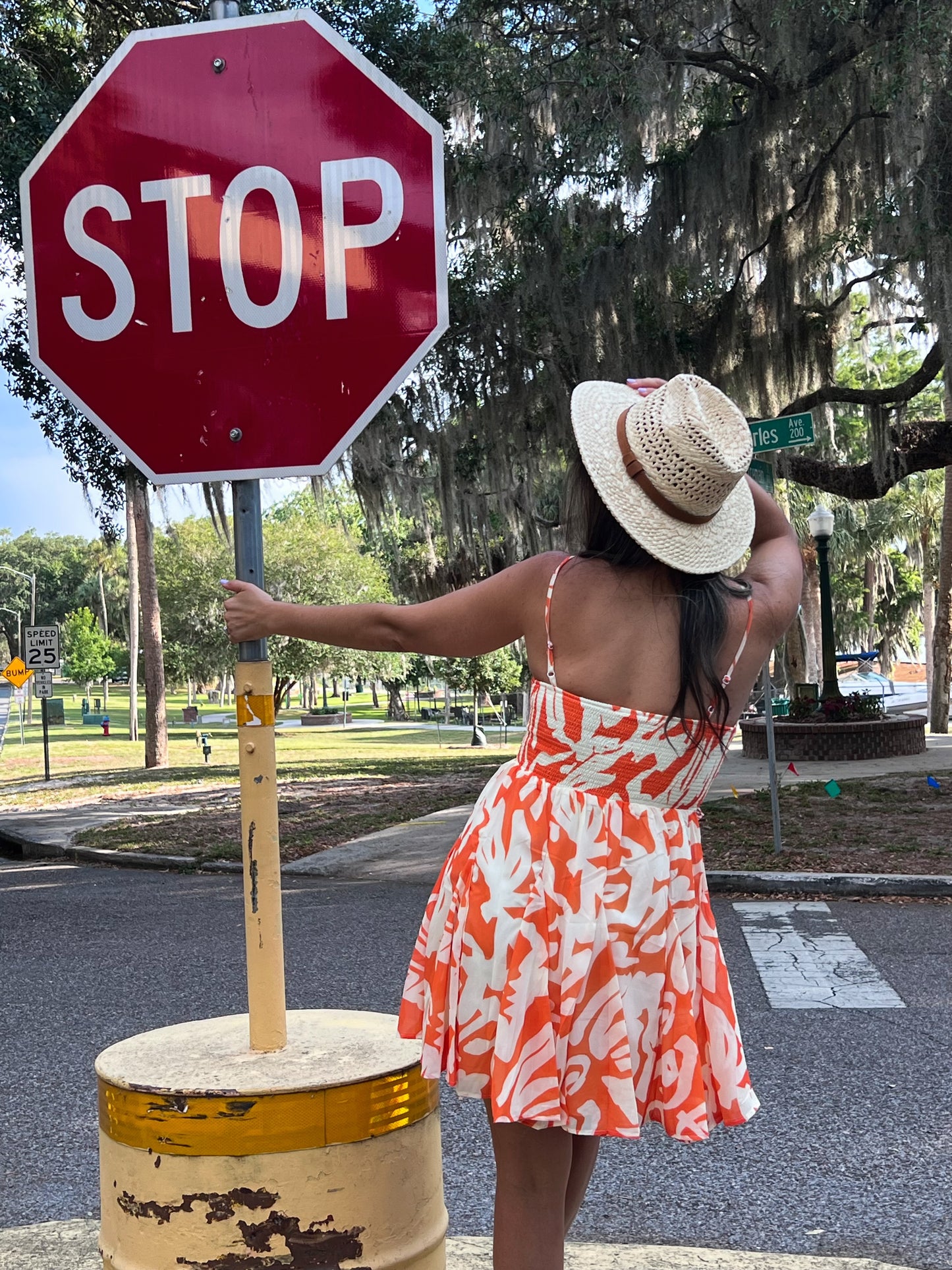 Under the Bridge dress