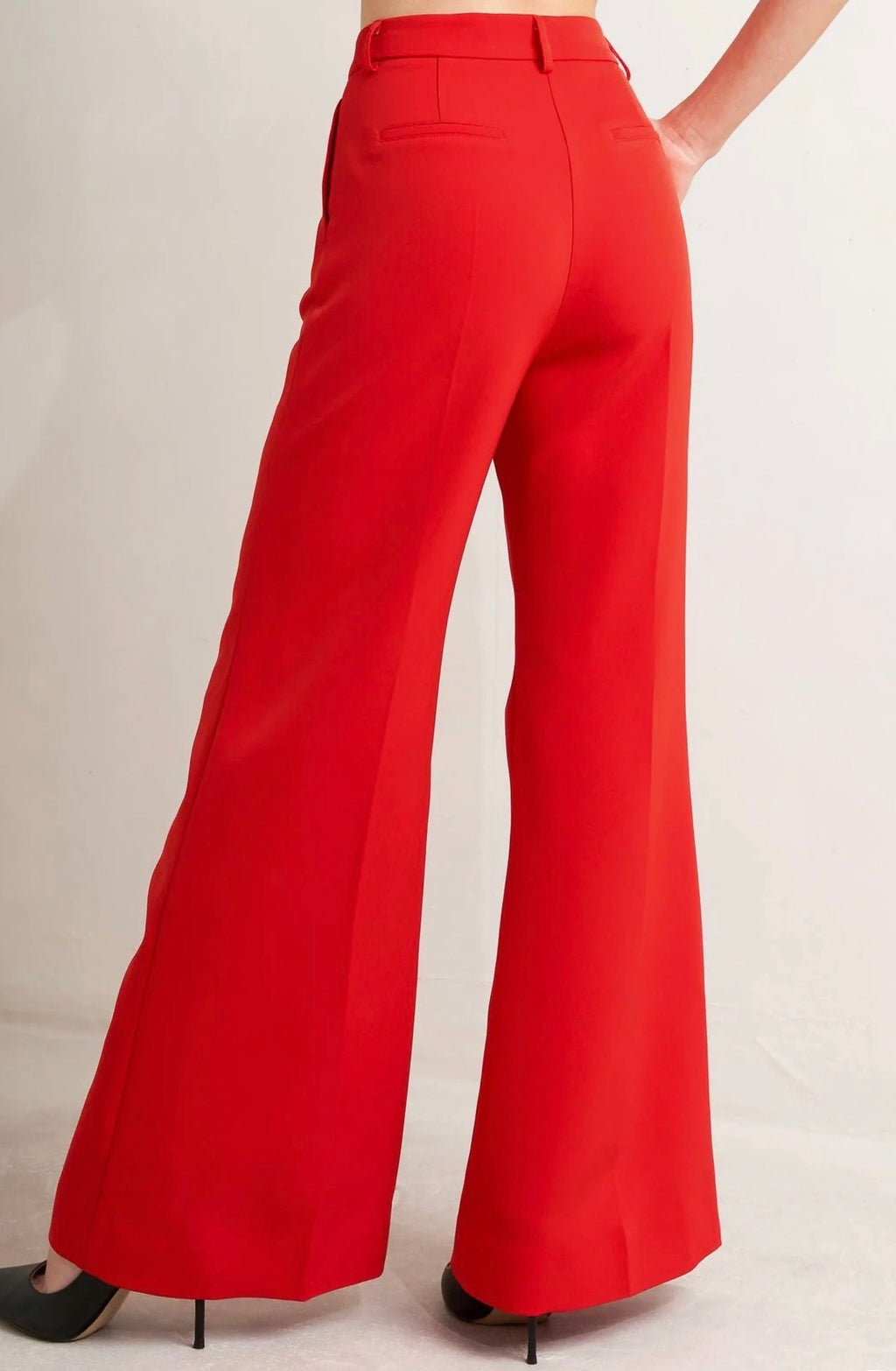 Scarlet Muse wide leg pants